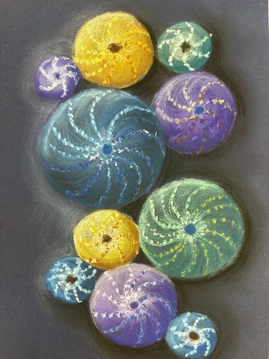 медузы